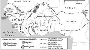The Rice Coast of West Africa